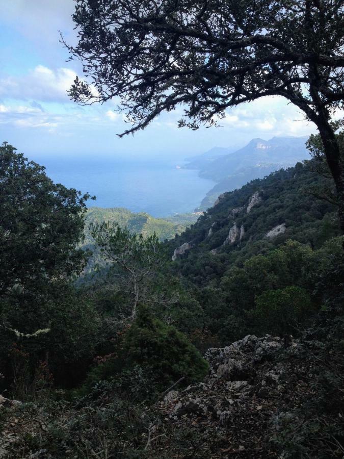 Home In Tramuntana Port des Canonge Εξωτερικό φωτογραφία